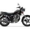TZ125 Pro